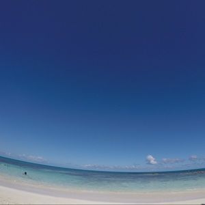 Meet your Posher, Shanna